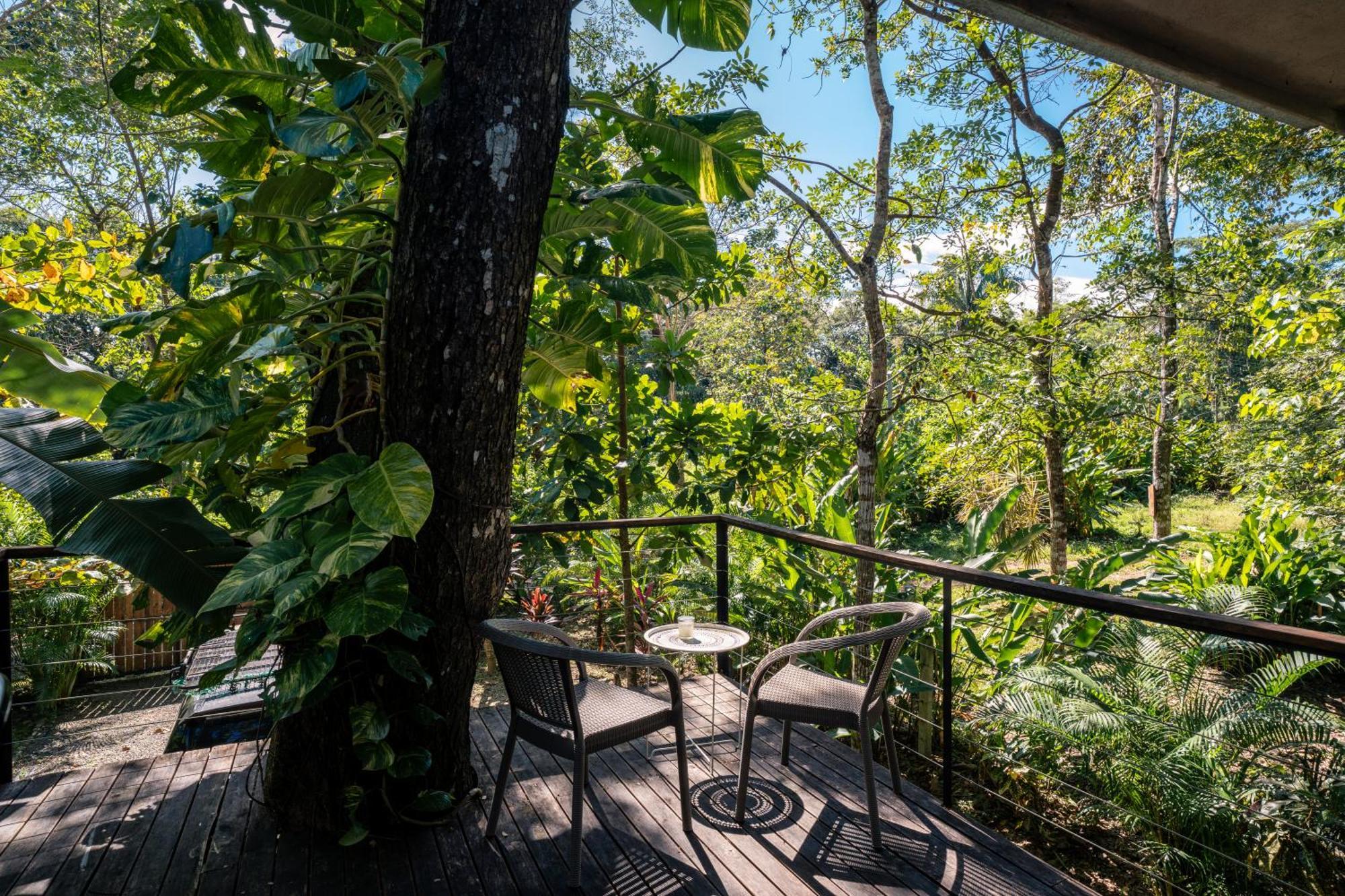 Feeling Trees Jungle Lodge Cabuya  Экстерьер фото