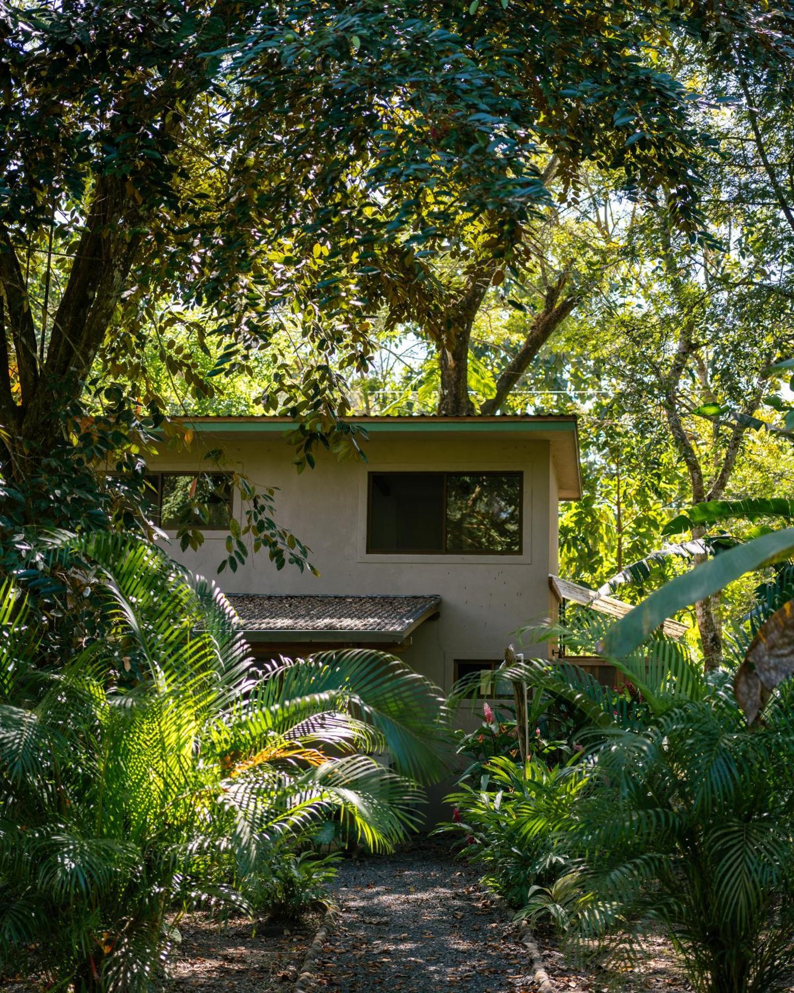 Feeling Trees Jungle Lodge Cabuya  Экстерьер фото