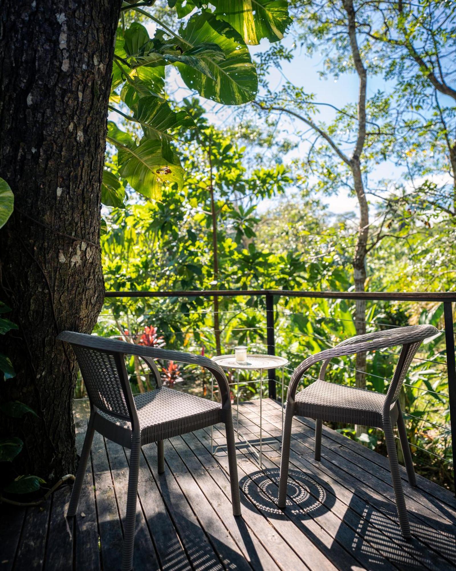 Feeling Trees Jungle Lodge Cabuya  Экстерьер фото