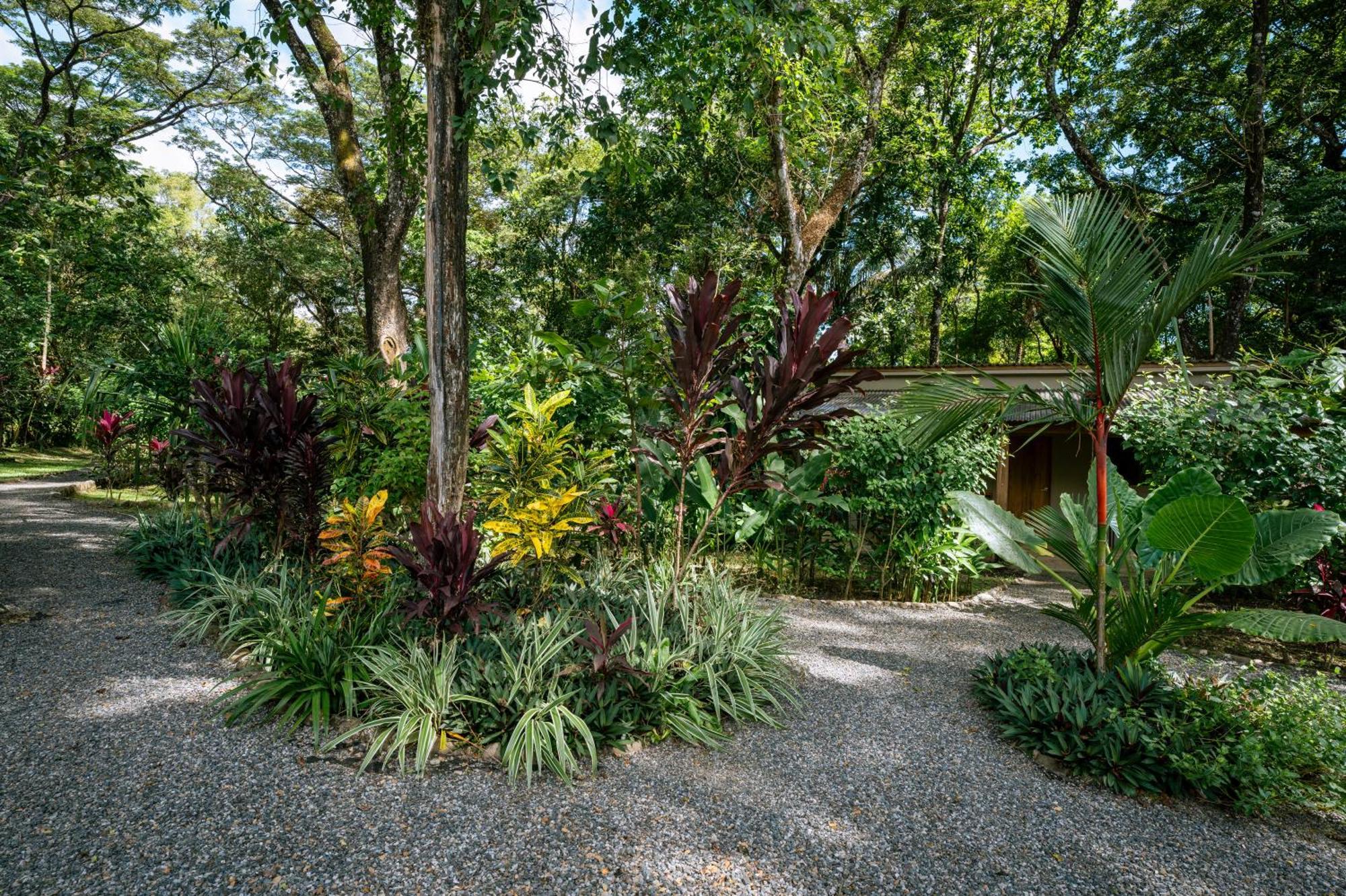 Feeling Trees Jungle Lodge Cabuya  Экстерьер фото