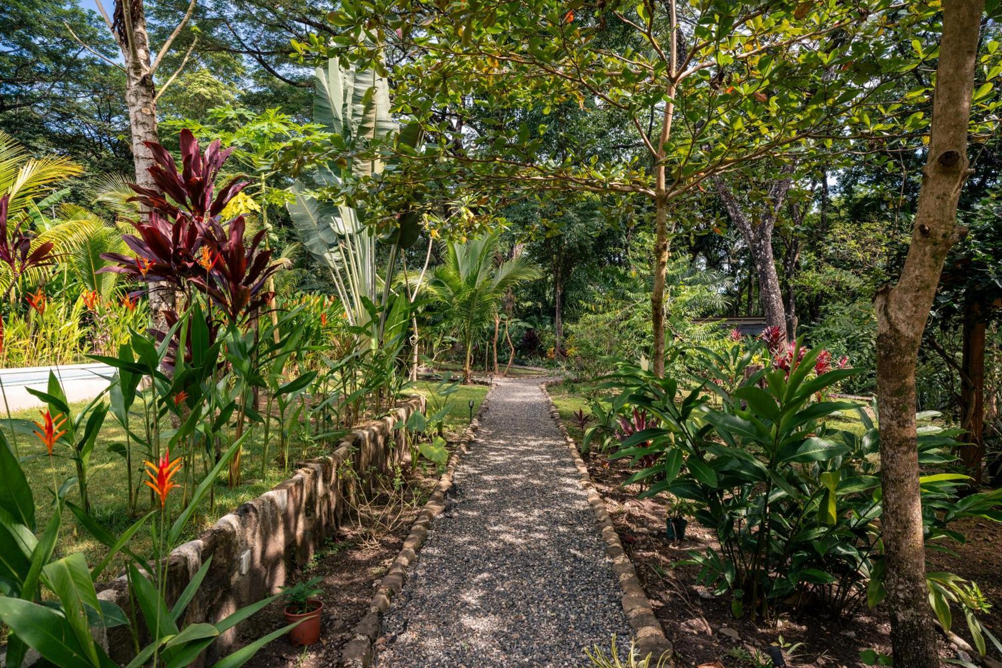 Feeling Trees Jungle Lodge Cabuya  Экстерьер фото
