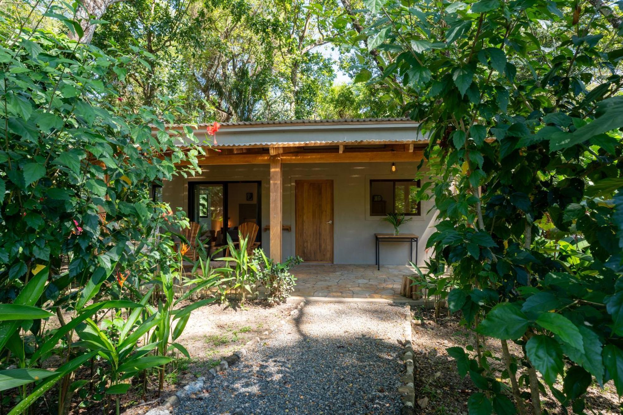 Feeling Trees Jungle Lodge Cabuya  Экстерьер фото