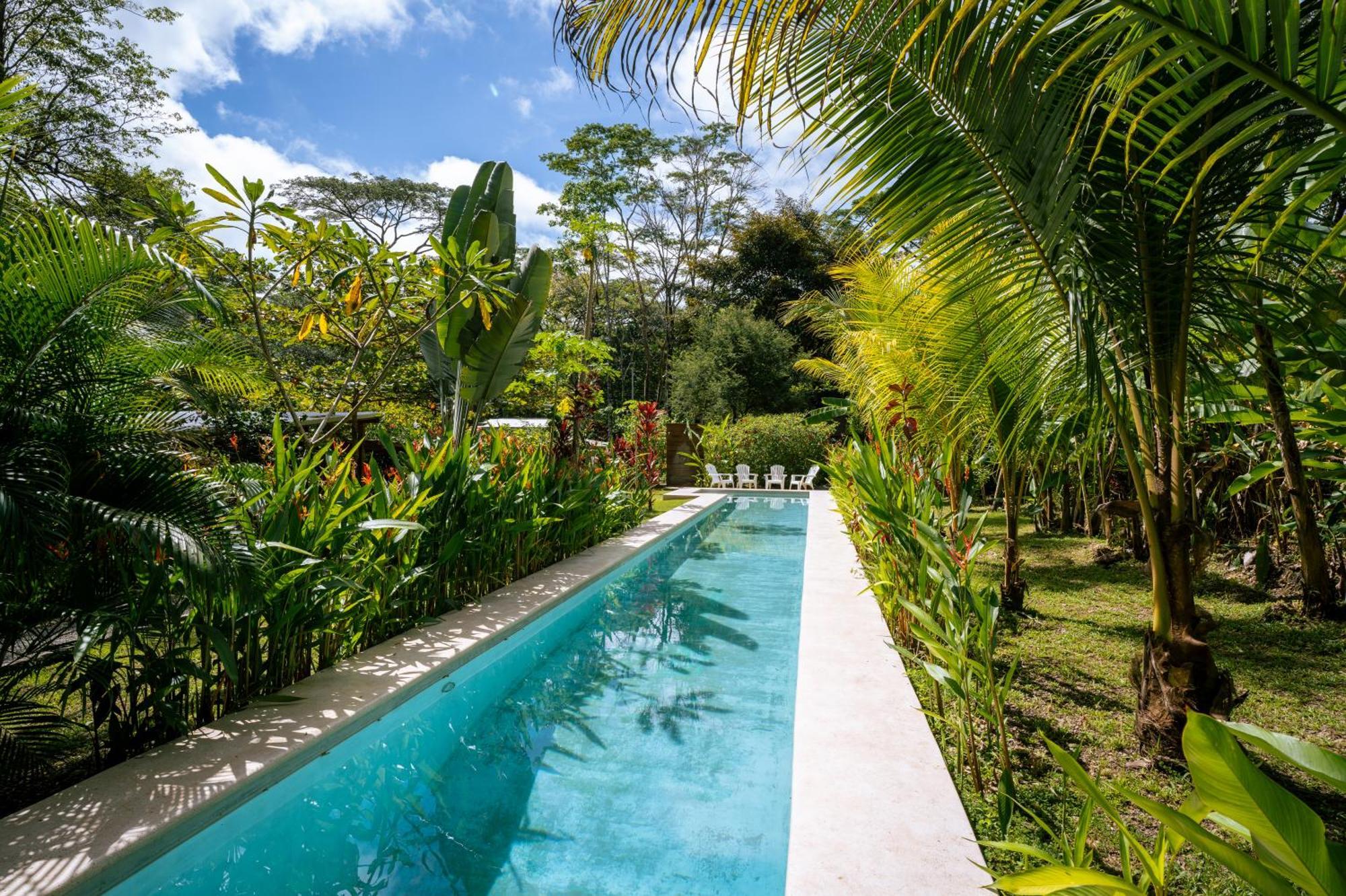 Feeling Trees Jungle Lodge Cabuya  Экстерьер фото