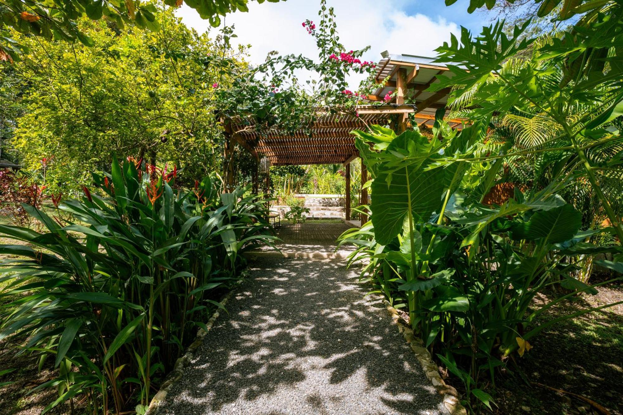 Feeling Trees Jungle Lodge Cabuya  Экстерьер фото
