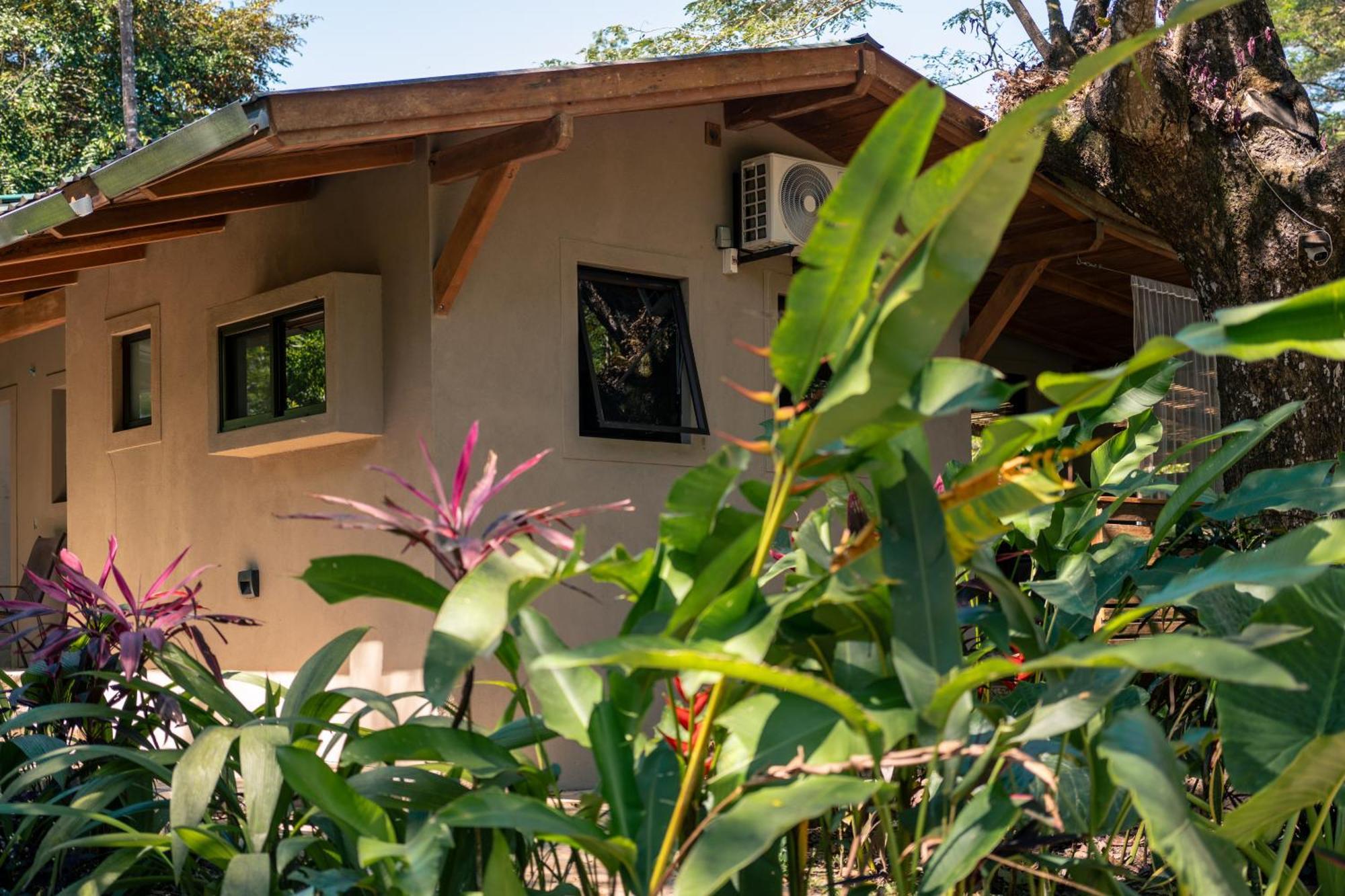 Feeling Trees Jungle Lodge Cabuya  Экстерьер фото
