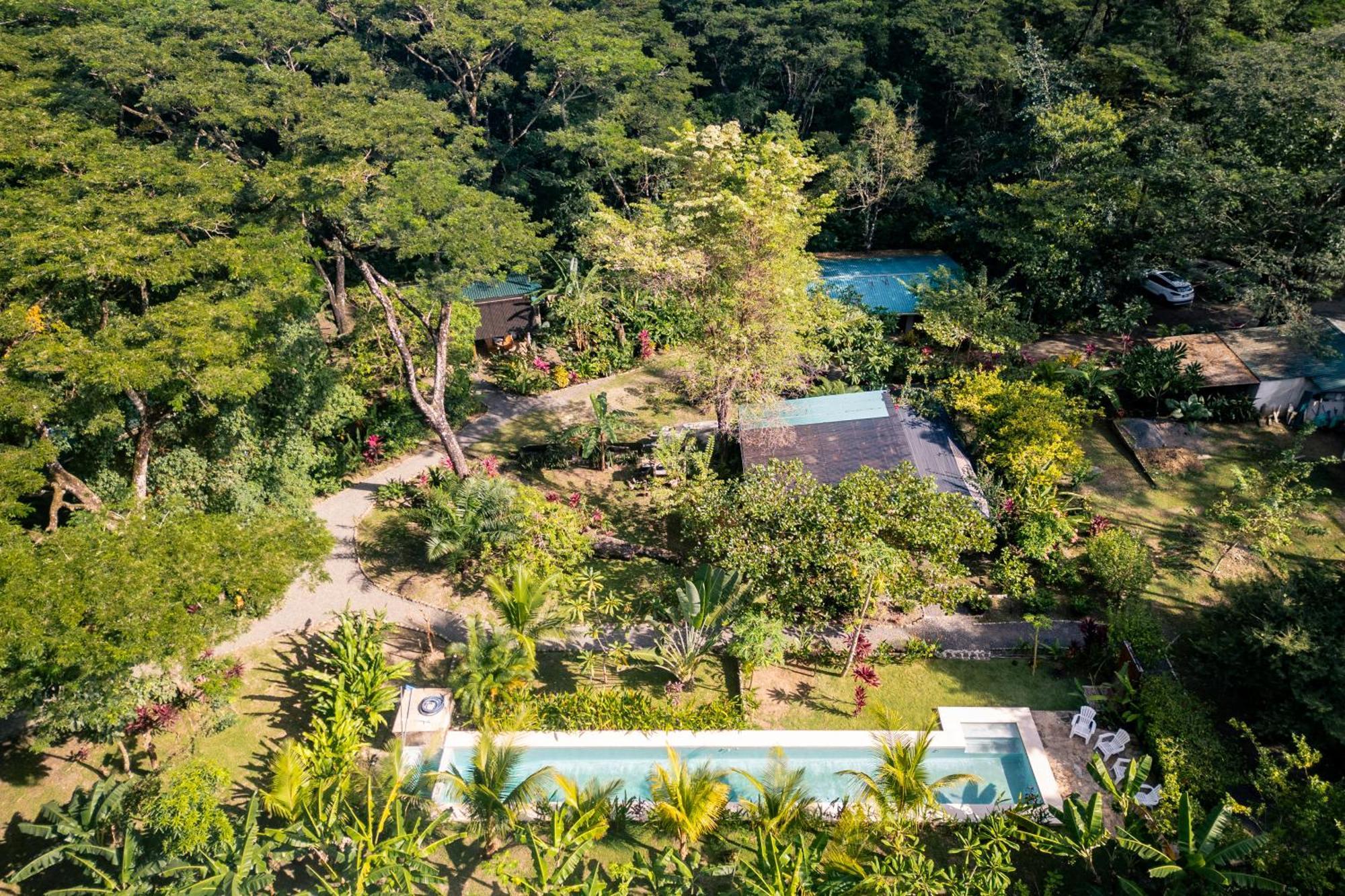 Feeling Trees Jungle Lodge Cabuya  Экстерьер фото