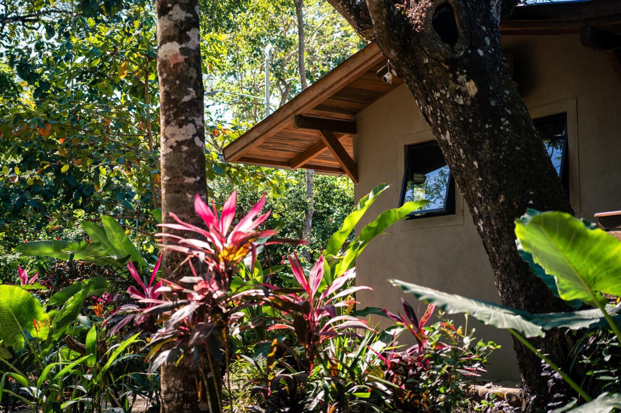 Feeling Trees Jungle Lodge Cabuya  Экстерьер фото